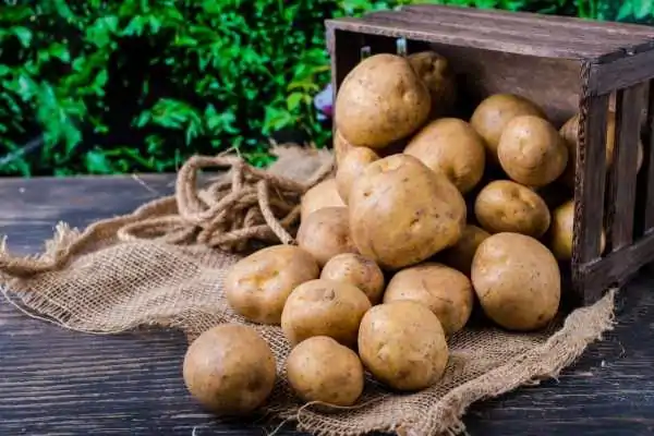 Цены на картофель: эксперты рассказали, что будет со стоимостью овоща