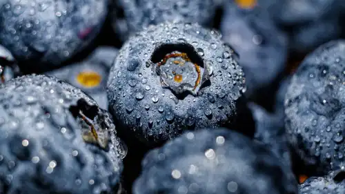 Чорниця: за що її так цінують кардіологи та неврологи