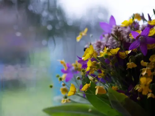 Від спеки – до сльоти. Які сюрпризи готує погода на…