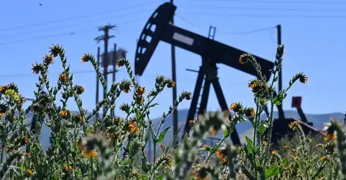 Продовольча нестача і відмова від авто: наслідки паливної скрути.