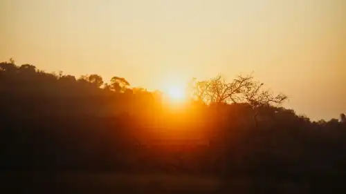 Чому прокидатися рано не гарантує багатство