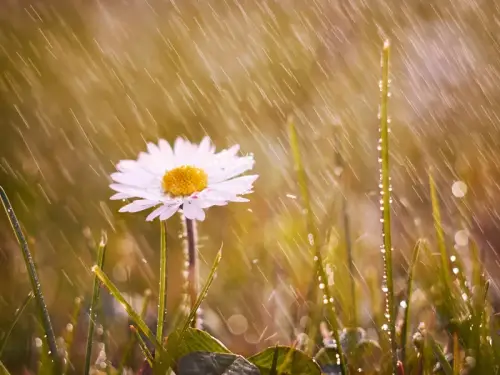 Сонце, вітер, сніг з дощем. Нестійка погода очікується на тижні.