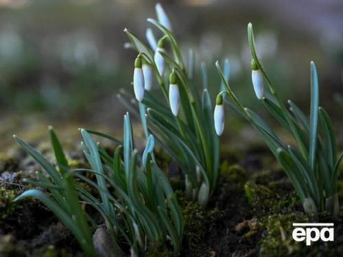 Без опадів, але з морозом. Прогноз погоди на перший березневий…