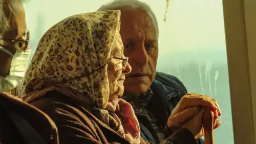 Біологія нетерпимості. Імунна система у жінок і чоловіків: неоднакові шляхи…