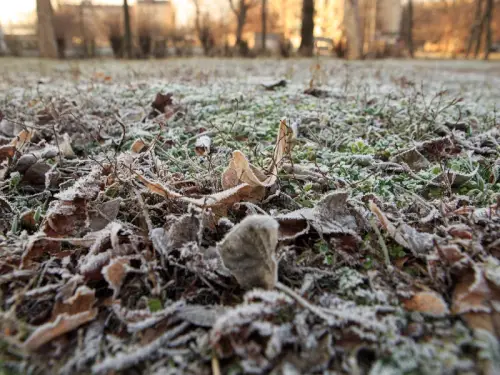 В Україну насувається холод, ймовірні приморозки.