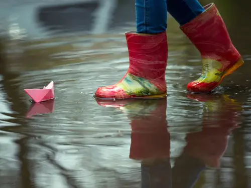 Відігрів змінюється на прохолоду та приморозки. Прогноз погоди в Україні…