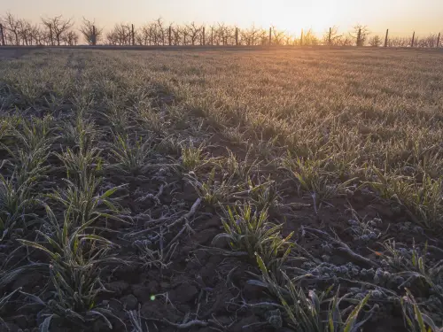 Прогноз: якою буде українська погода після Пасхи від метеорологині