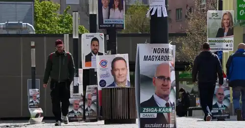 Сергій Алексєєв, депутат: Вирушаю спостерігачем до Угорщини, очікую провокацій.