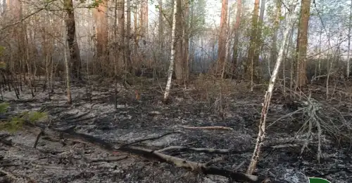 На Чернігівщині: розростання лісового вогню до 5800 га внаслідок російських&hellip;