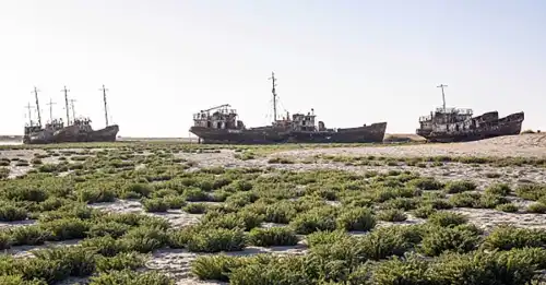 Каспійська екологічна криза: висихає, як Арал, без тюленів та білуги