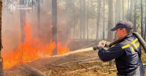 Чорнобильська пожежа в лісі шириться далі через сприятливу погоду