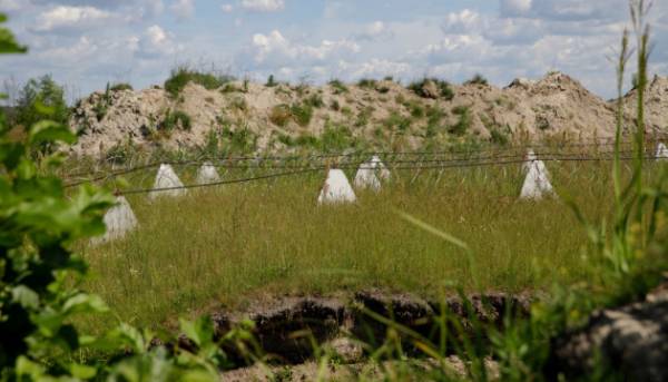 Чернігівщина цілодобово готується до будь-яких «несподіванок» з боку Білорусі