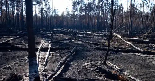 У Чорнобильській зоні ліквідовано всі загоряння після атаки російських дронів.