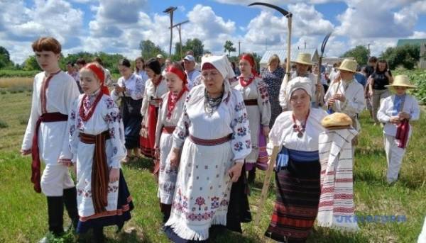 «Зажинки»: перші колоски, зібрані з поля, відклали для різдвяного дідуха