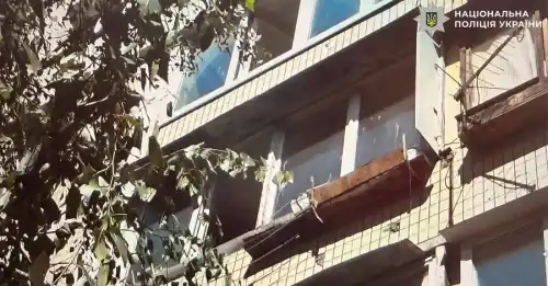 У столиці українка скинула з четвертого поверху пса, котрий належав власнику помешкання.