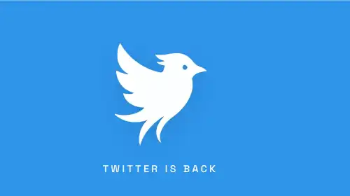 Twitter повертається: стартап, попри судові позови з Ілоном Маском, відродив соціальну мережу під колишньою назвою