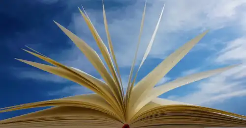Внаслідок нападу Російської Федерації було пошкоджено склад книгарні Readeat, Book.ua та багатьох українських видавництв.